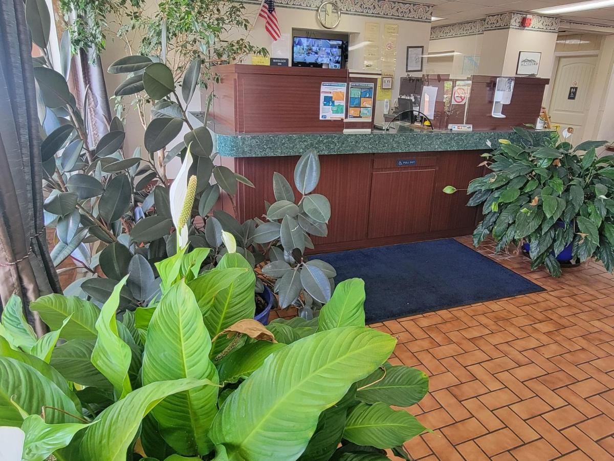 Studio 9 Inn & Suites Decatur Extérieur photo